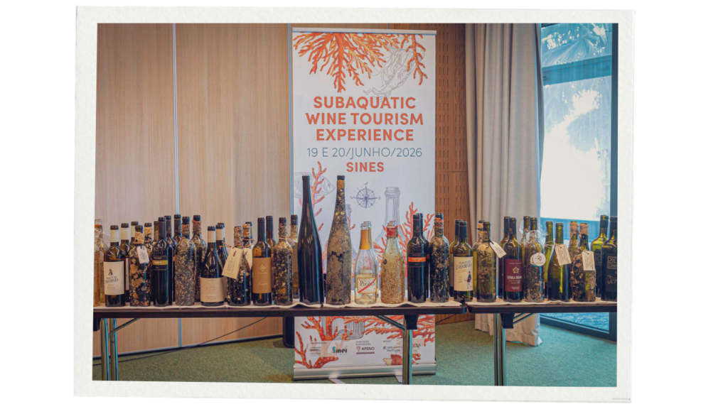 Underwater-aged wine bottles displayed at the Subaquatic Wine Tourism Experience in Sines